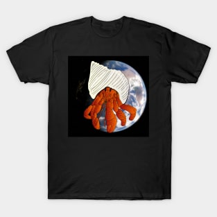 Fabulous planet of diversity : ermit crab T-Shirt